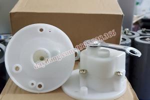 Nhông đảo quạt trần