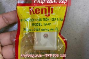 Phích cấm điện